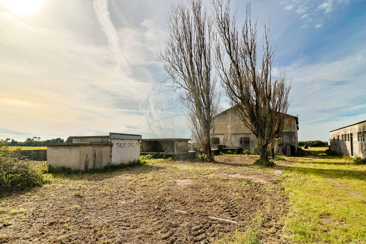 listing-picture-0
