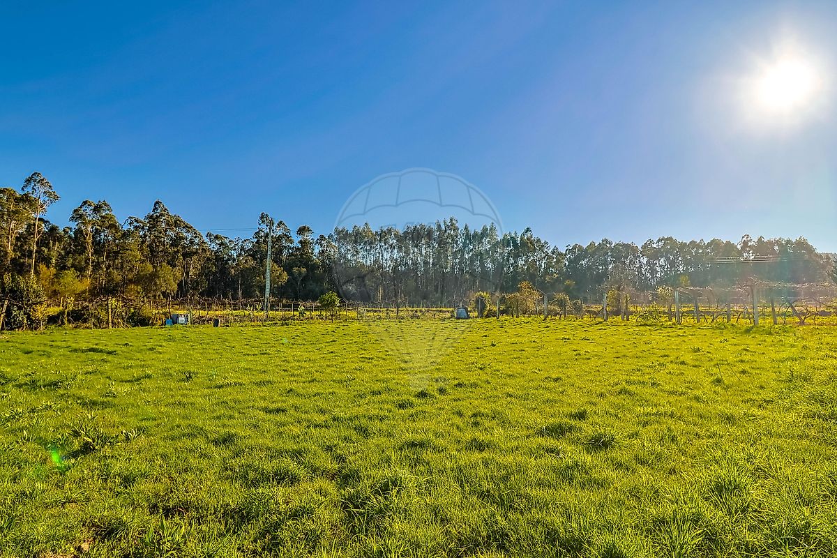Terreno para venda