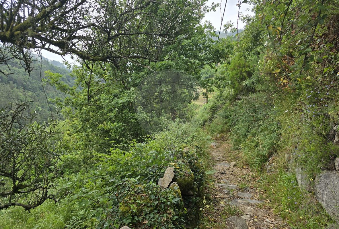 TODO