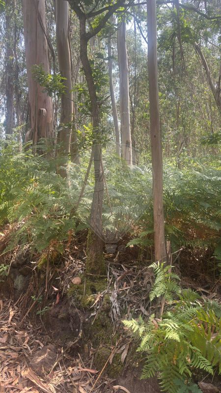 Terreno para venda