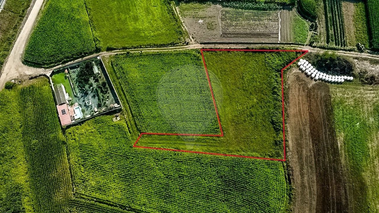 Terreno  para venda