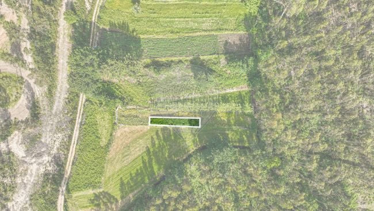 Terreno  para venda