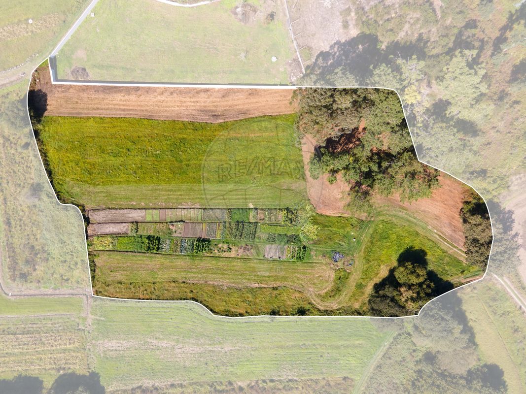 Terreno  para venda
