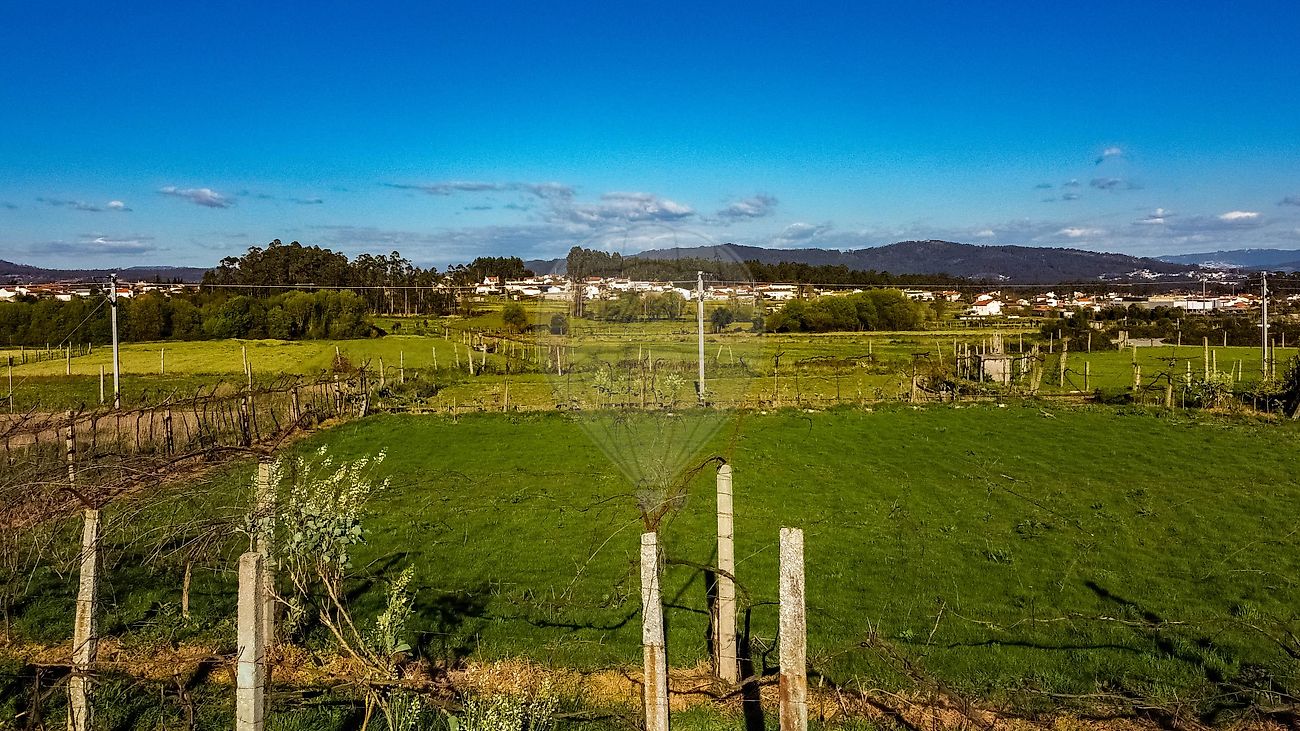 Terreno - Tamel (Santa Leocádia) e Vilar do Monte, Barcelos, Braga