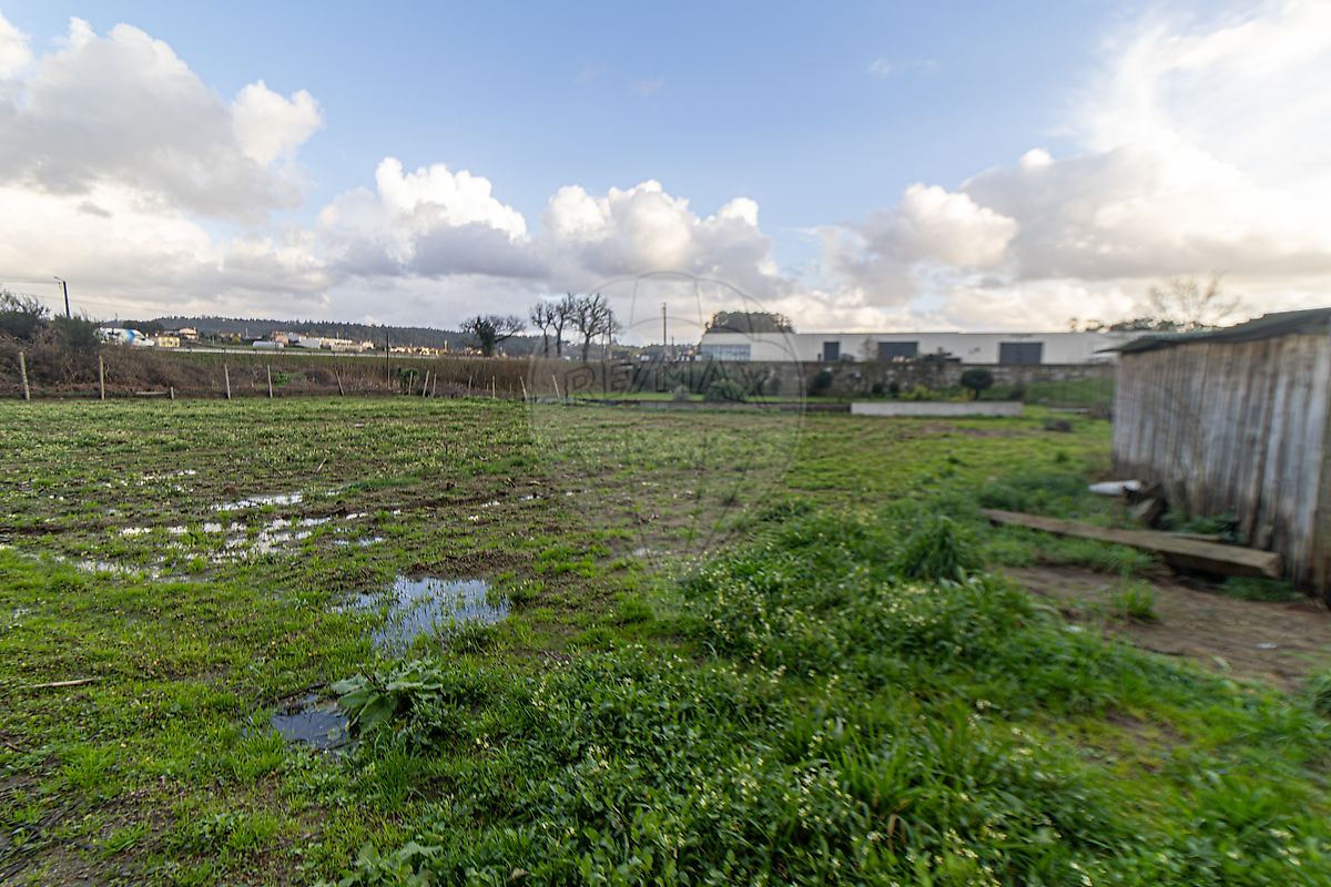 Terreno - Várzea, Barcelos, Braga