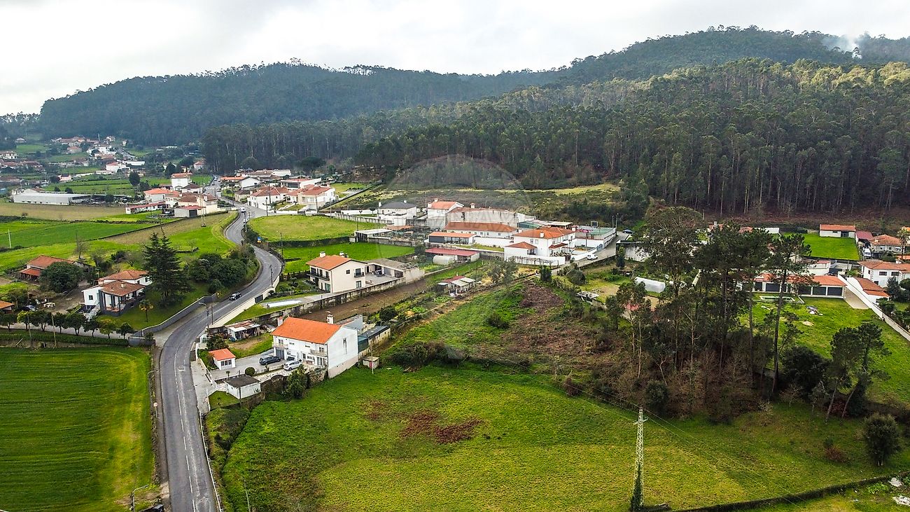 Terreno - Pereira, Barcelos, Braga