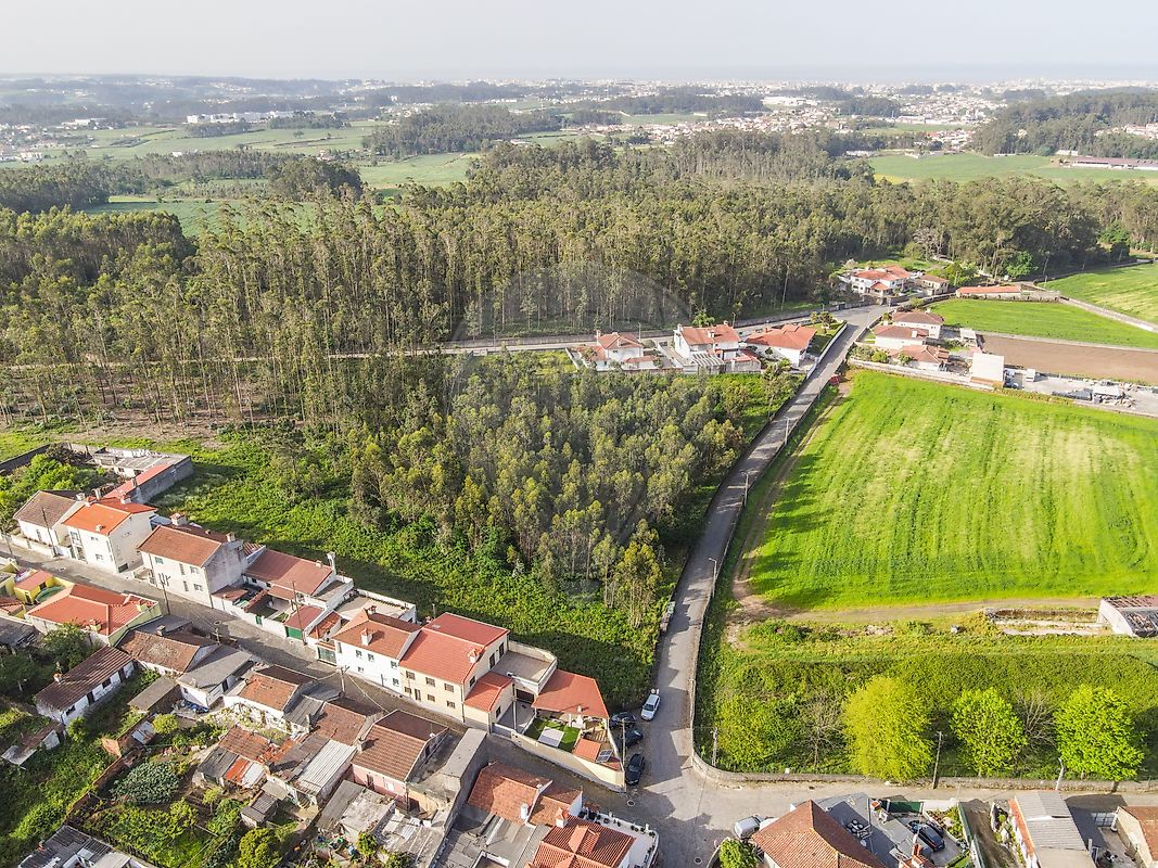 Terreno - Rio Mau e Arcos, Vila do Conde, Porto
