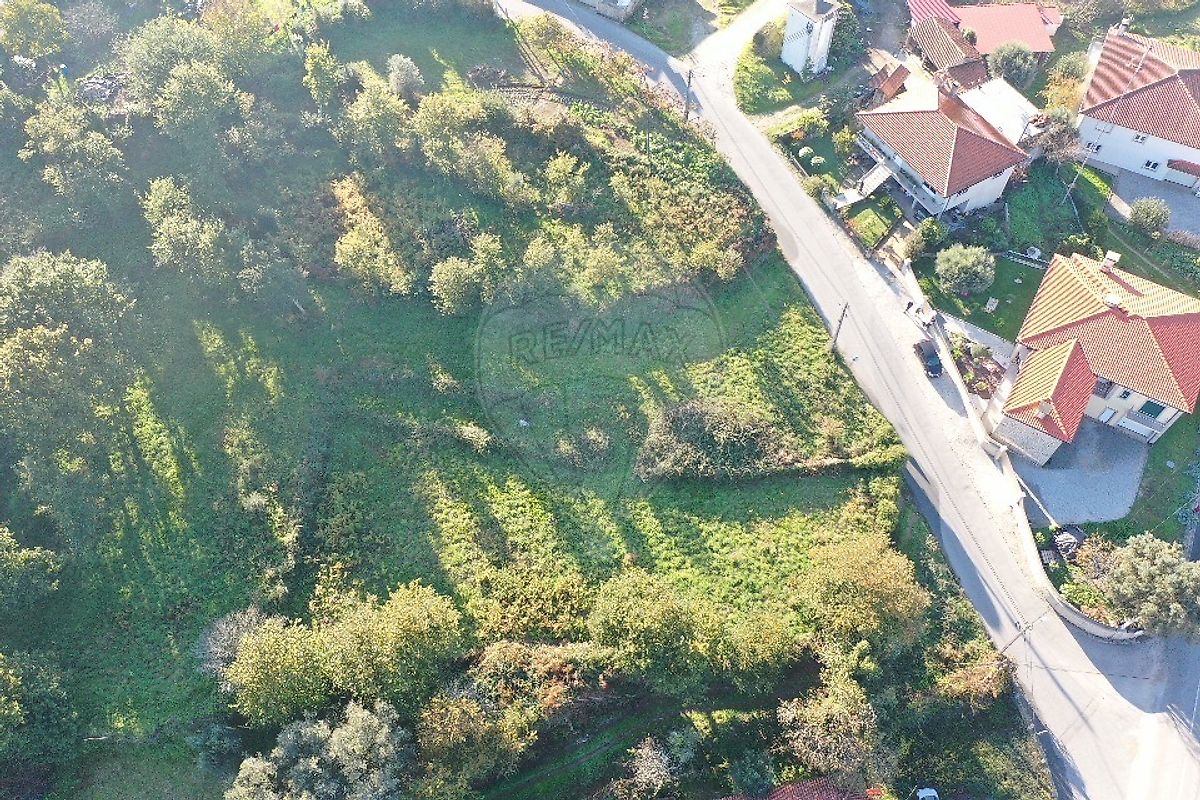 Terreno - Panque, Barcelos, Braga