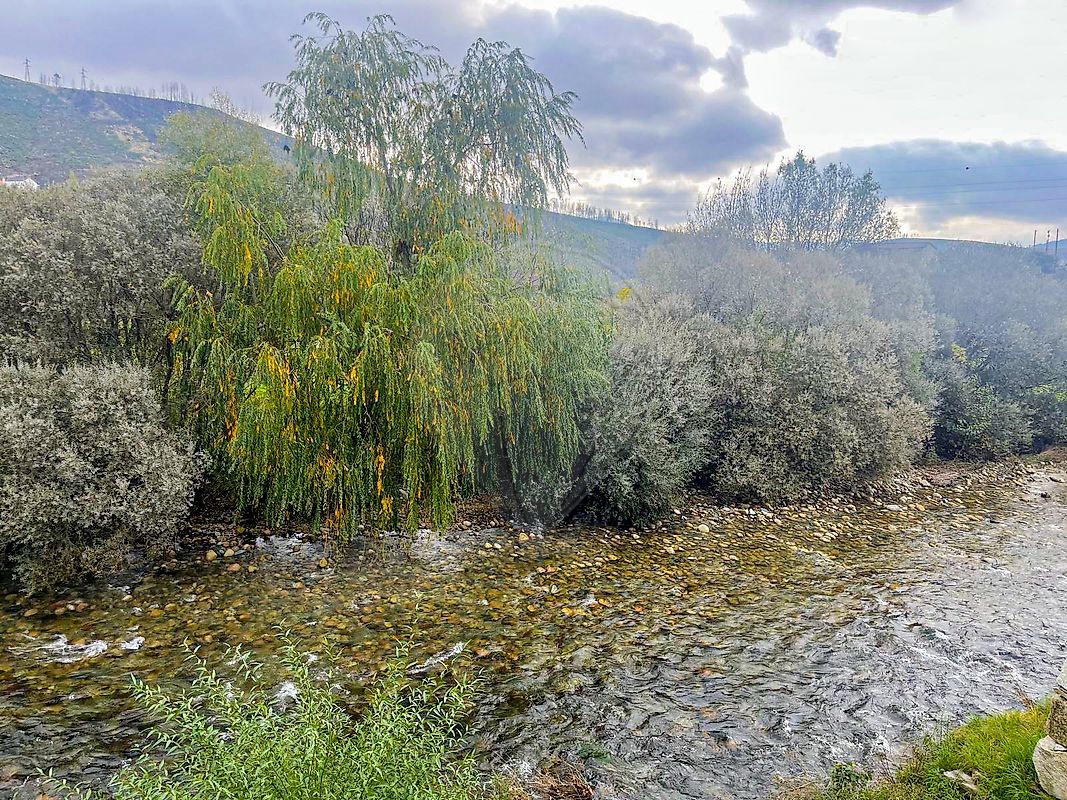 Moradia T2 à venda em Vale de Amoreira, Manteigas — foto 14