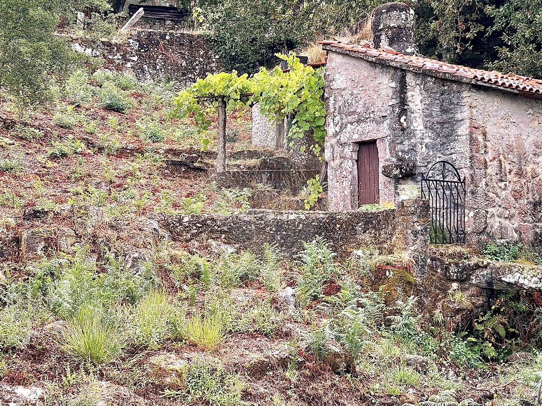 Moradia T1 à venda em Fontoura, Valença — foto 6