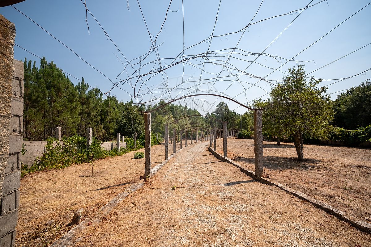 Moradia T4 à venda em Pias, Monção — foto 31