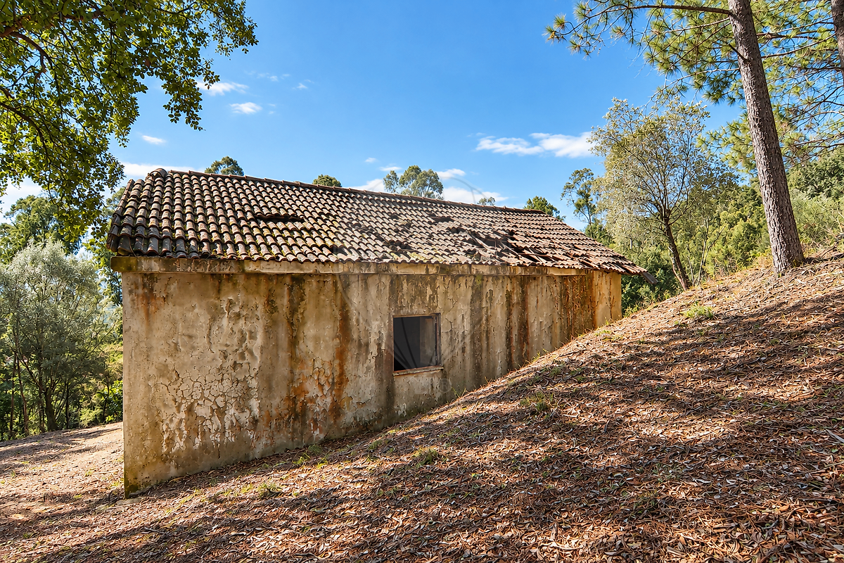 Moradia T0 à venda em Alvito (São Pedro e São Martinho) e Couto, Barcelos — foto 22