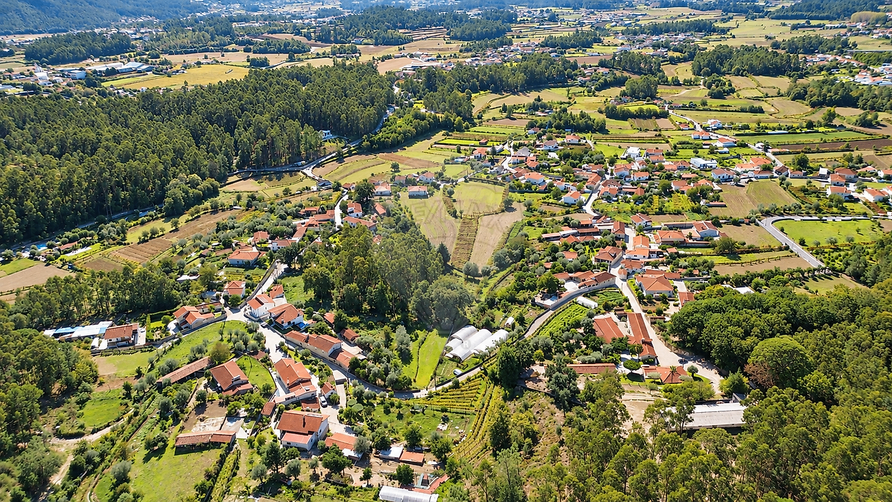 Moradia T0 à venda em Alvito (São Pedro e São Martinho) e Couto, Barcelos — foto 26