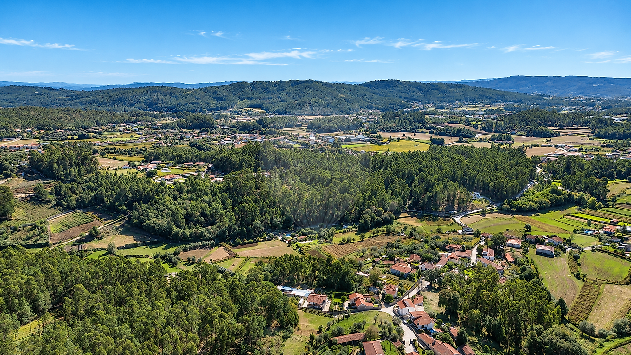 Moradia T0 à venda em Alvito (São Pedro e São Martinho) e Couto, Barcelos — foto 30