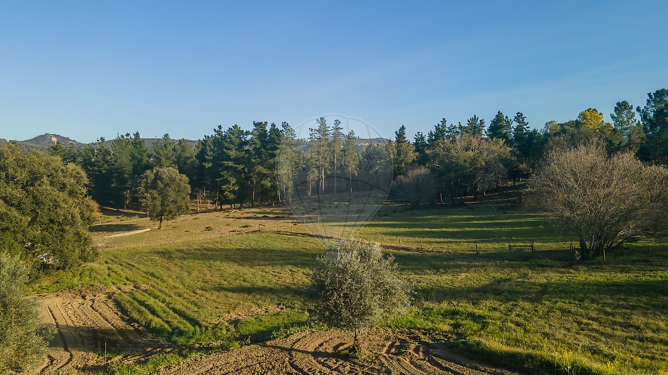 listing 125721063-20 picture-0