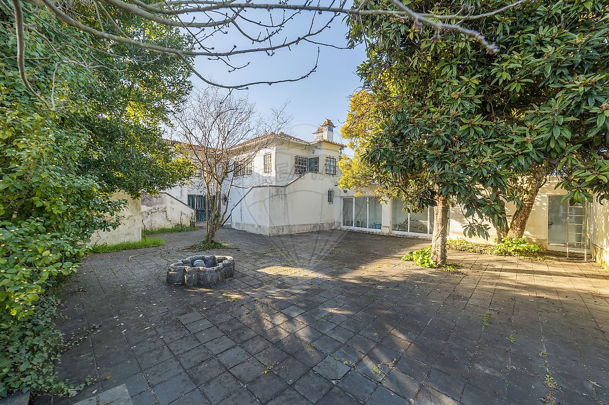 listing 125721063-20 picture-0