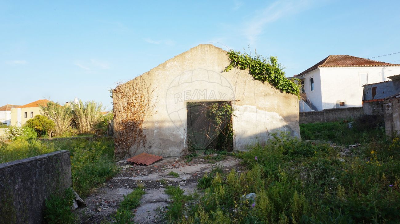 listing-picture-0