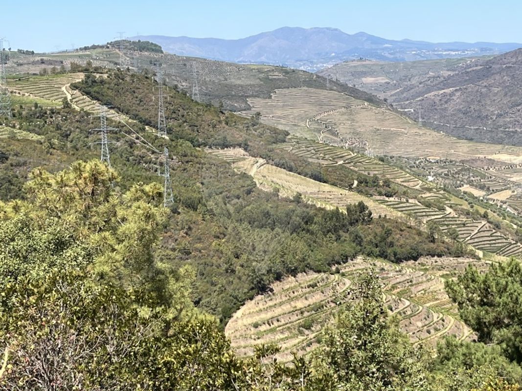 Terreno  para venda