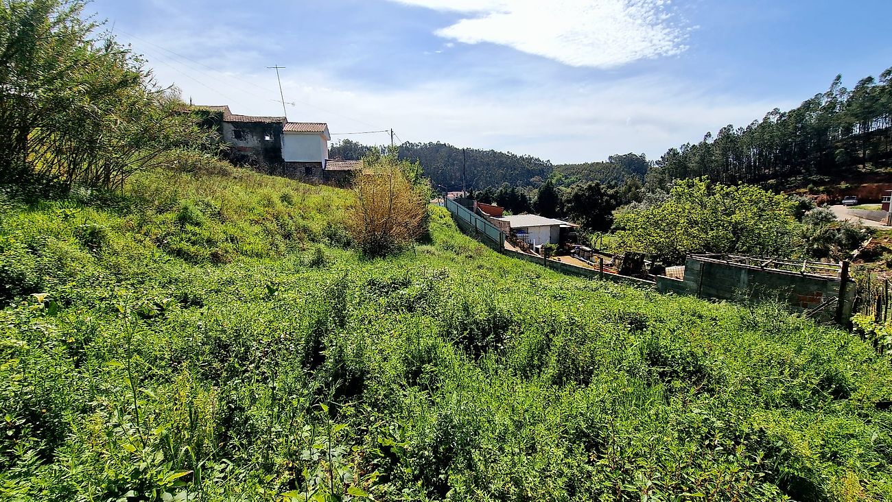 Terreno  à venda em Coimbra