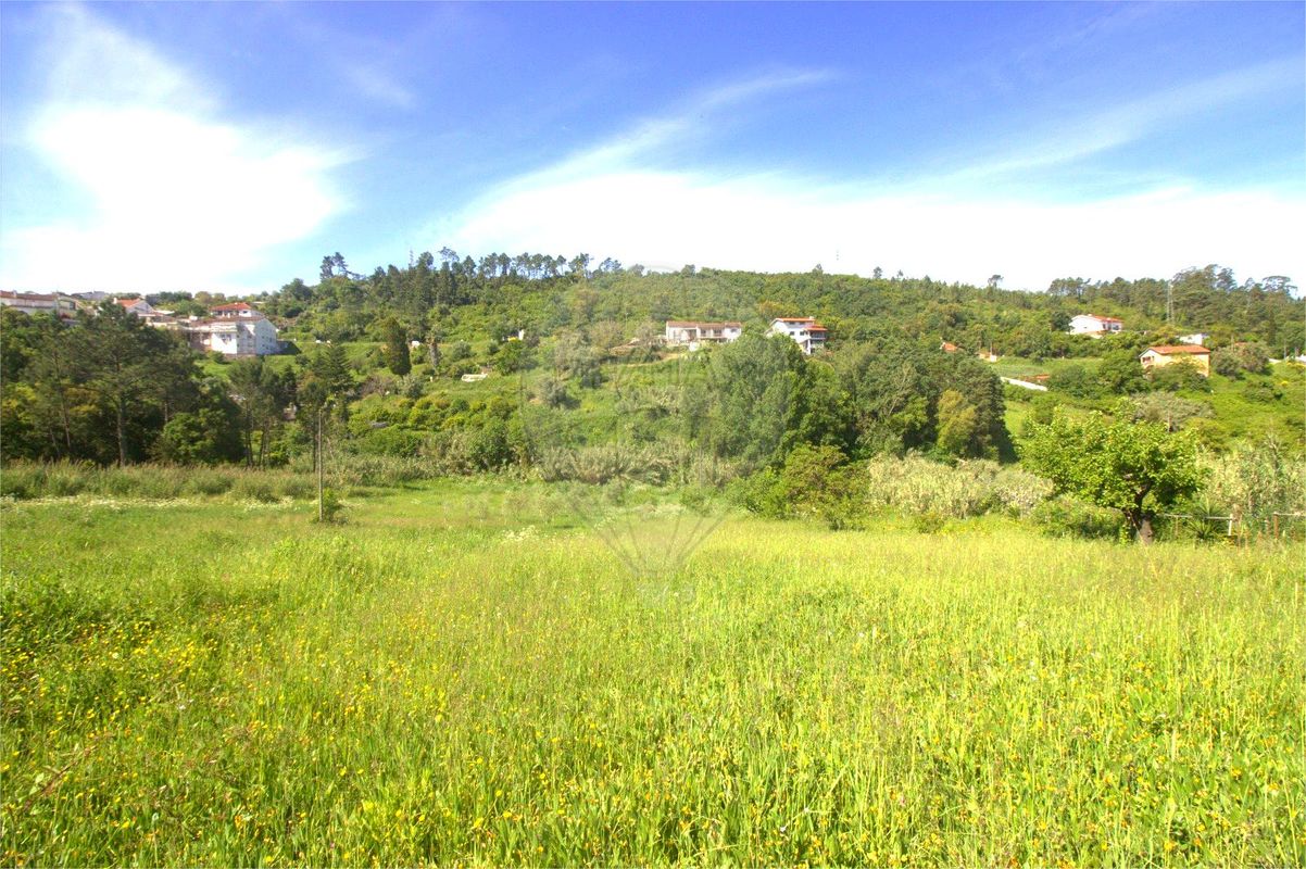 listing 125721211-12 picture-0