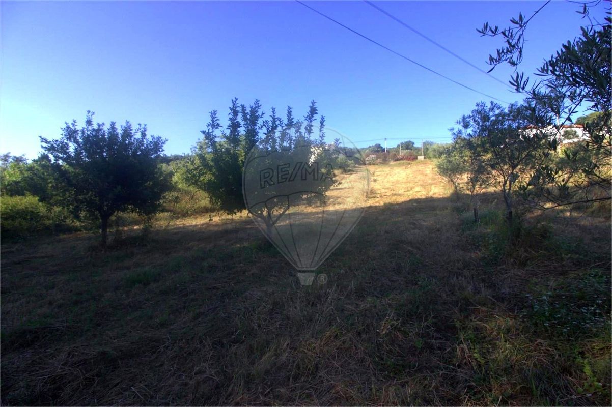 listing 125721211-12 picture-0