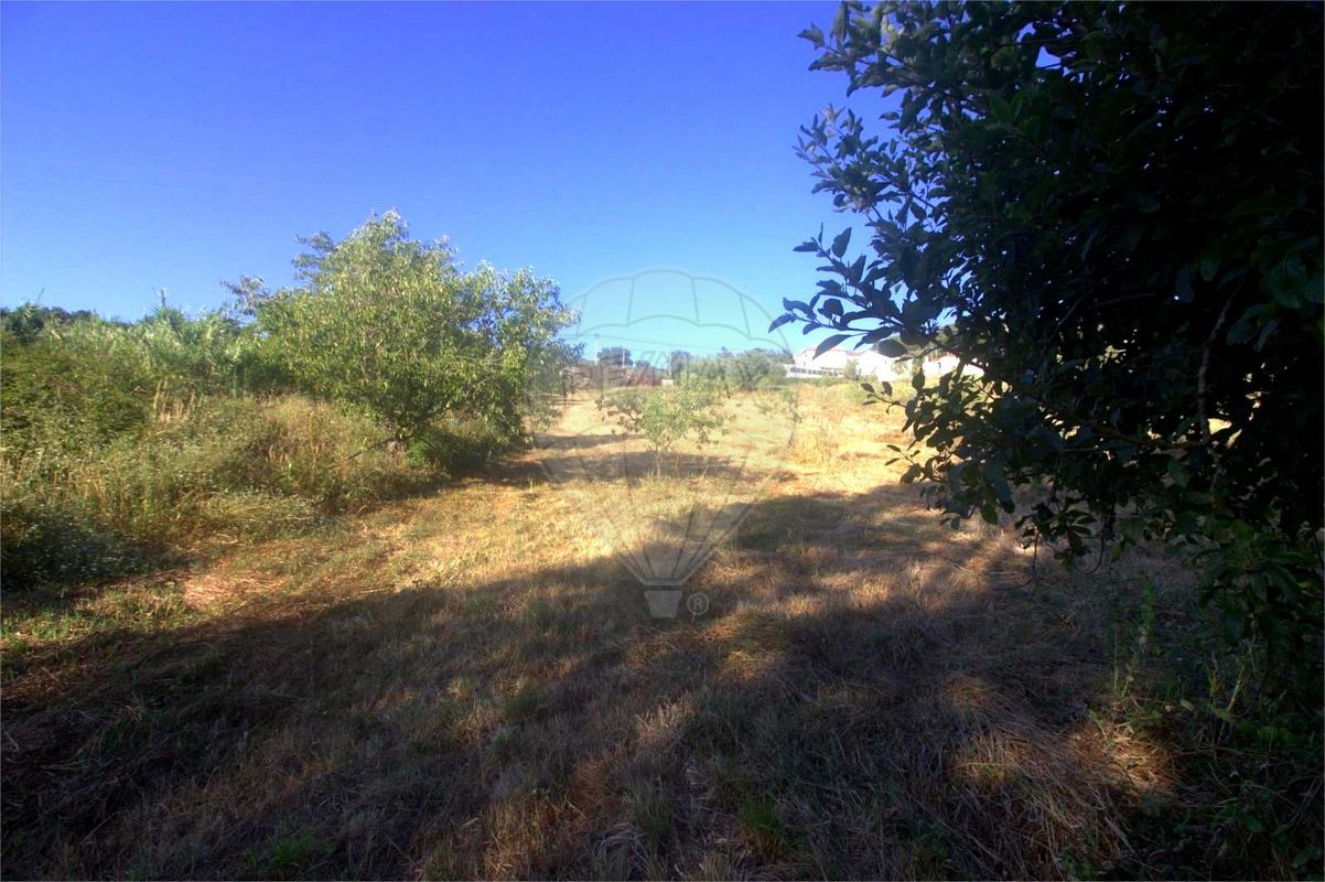 listing 125721211-12 picture-0