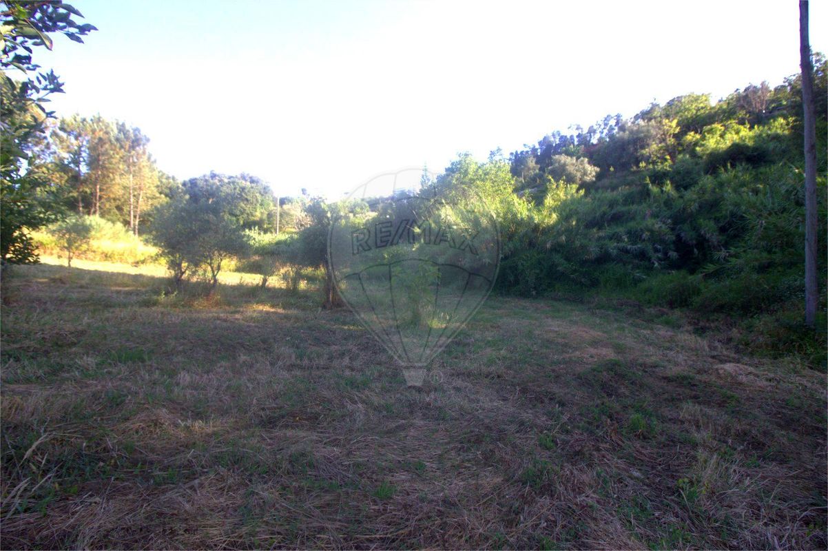listing 125721211-12 picture-0