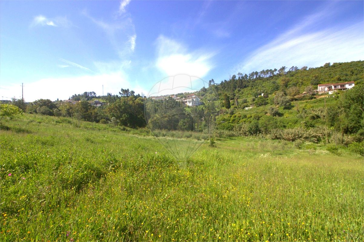 listing 125721211-12 picture-0