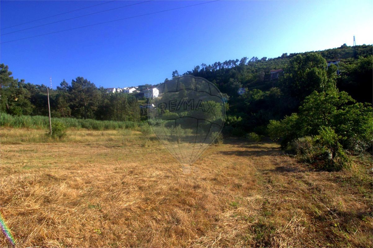 listing 125721211-12 picture-0