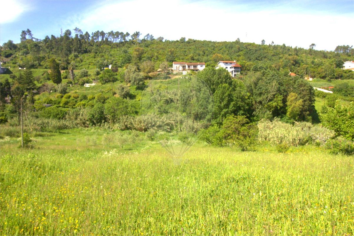 listing 125721211-12 picture-0