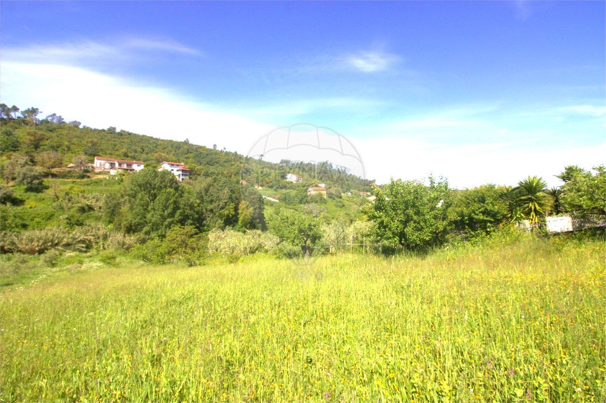 listing 125721211-12 picture-0