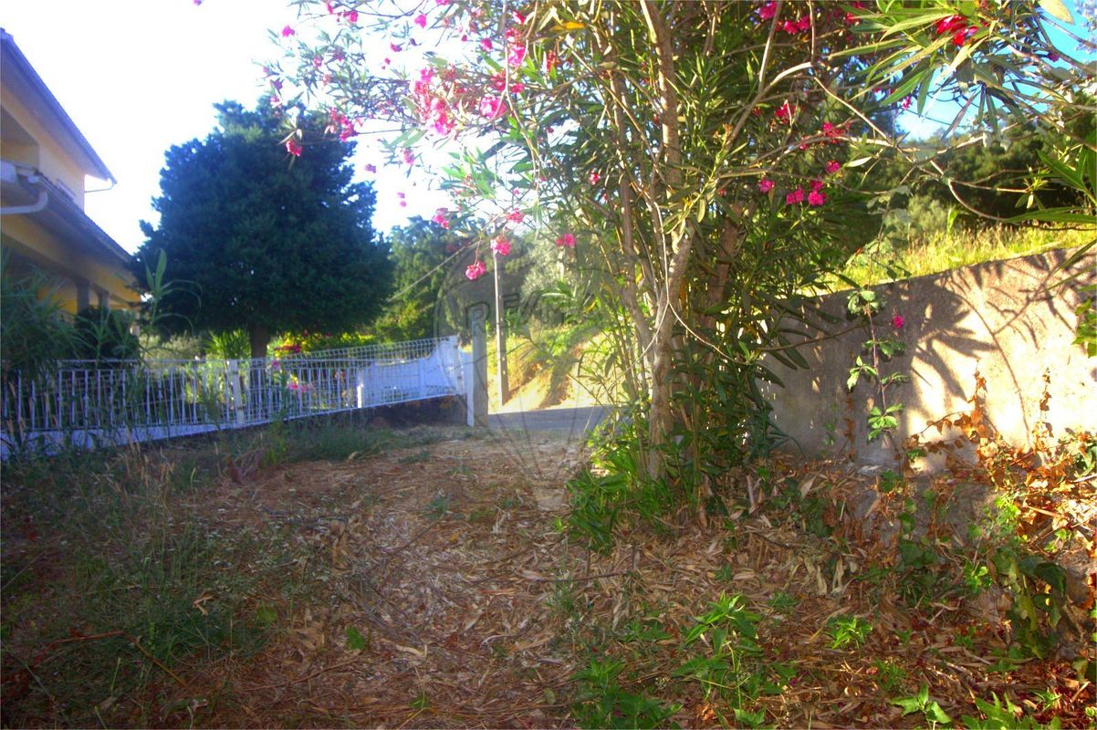 listing 125721211-12 picture-0