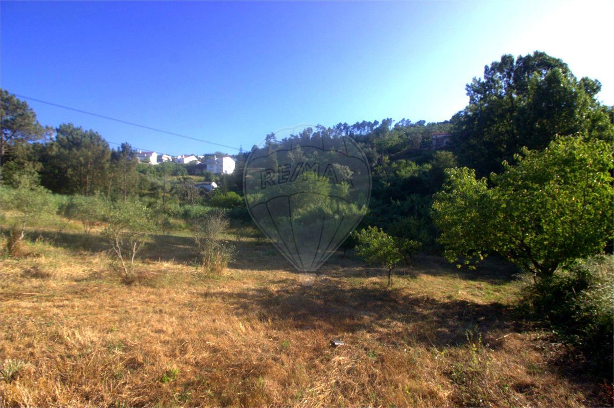 listing 125721211-12 picture-0