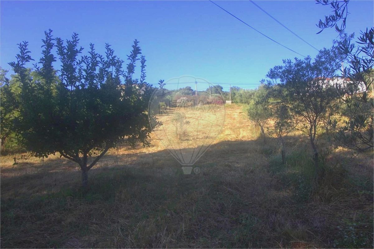 listing 125721211-12 picture-0