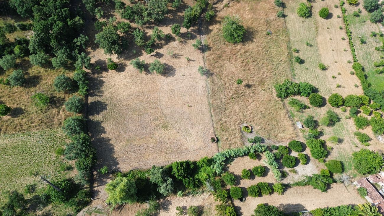 listing 125721069-83 picture-0