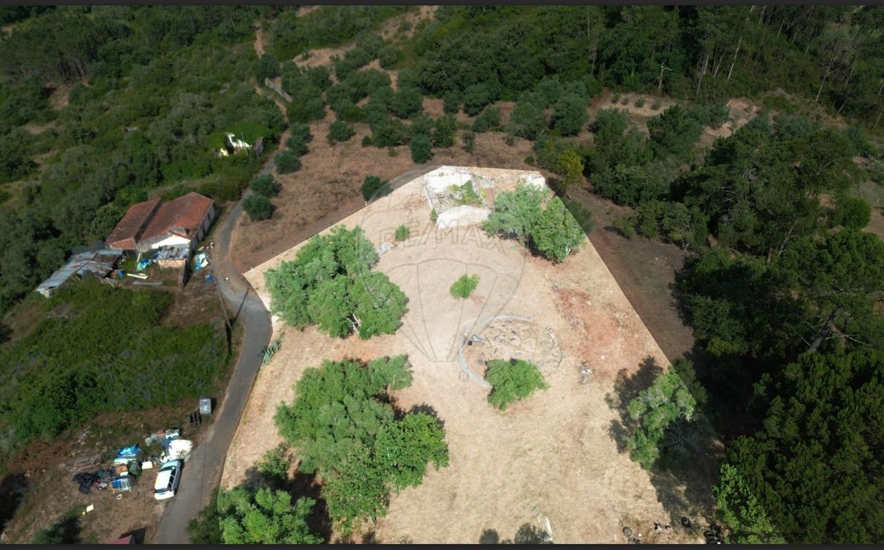 listing 125721069-83 picture-0