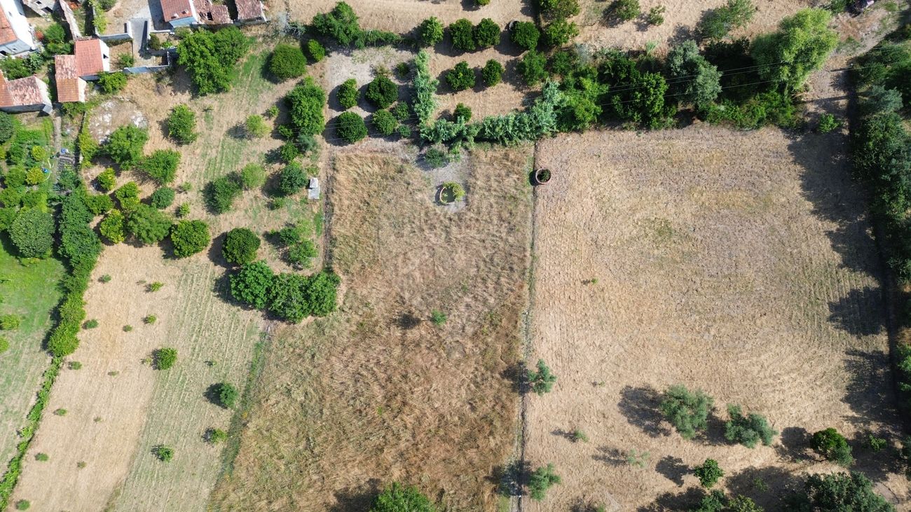 listing 125721069-83 picture-0