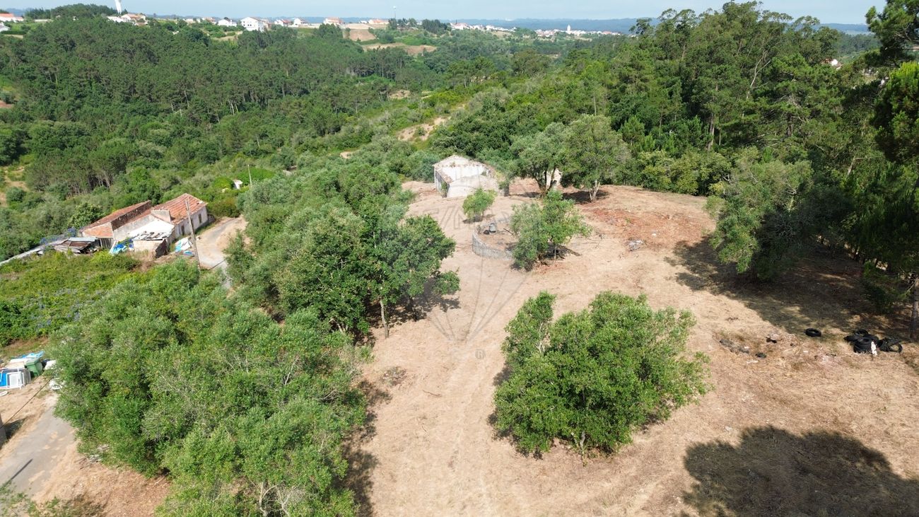 listing 125721069-83 picture-0