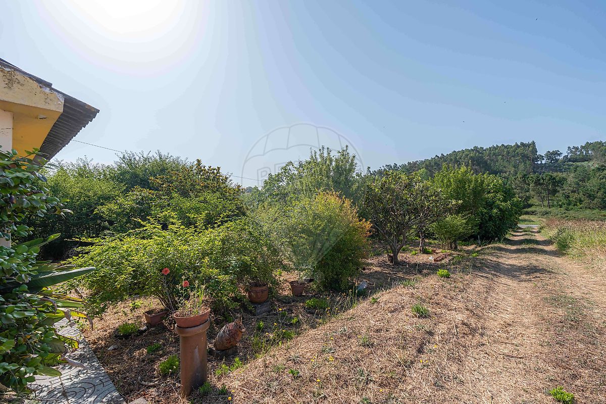 listing 125721069-87 picture-0