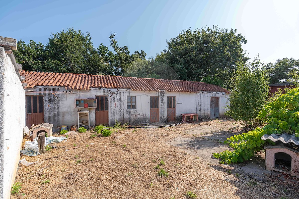 listing 125721069-87 picture-0