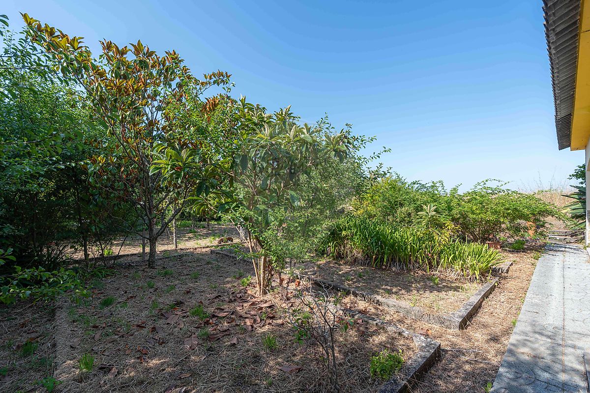 listing 125721069-87 picture-0