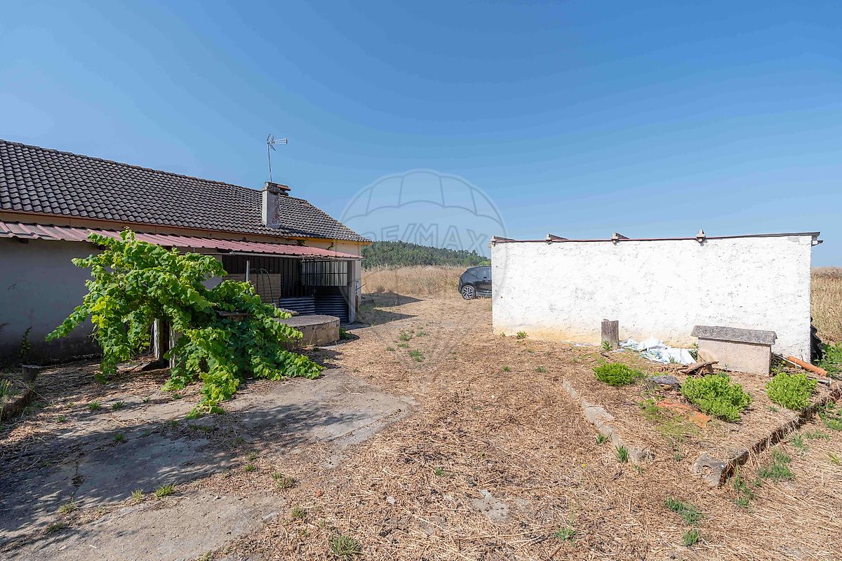 listing 125721069-87 picture-0