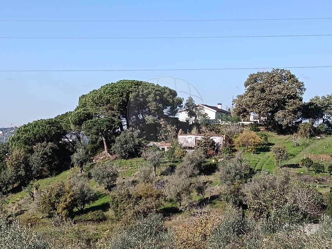 Moradia T2 à venda em Coimbra