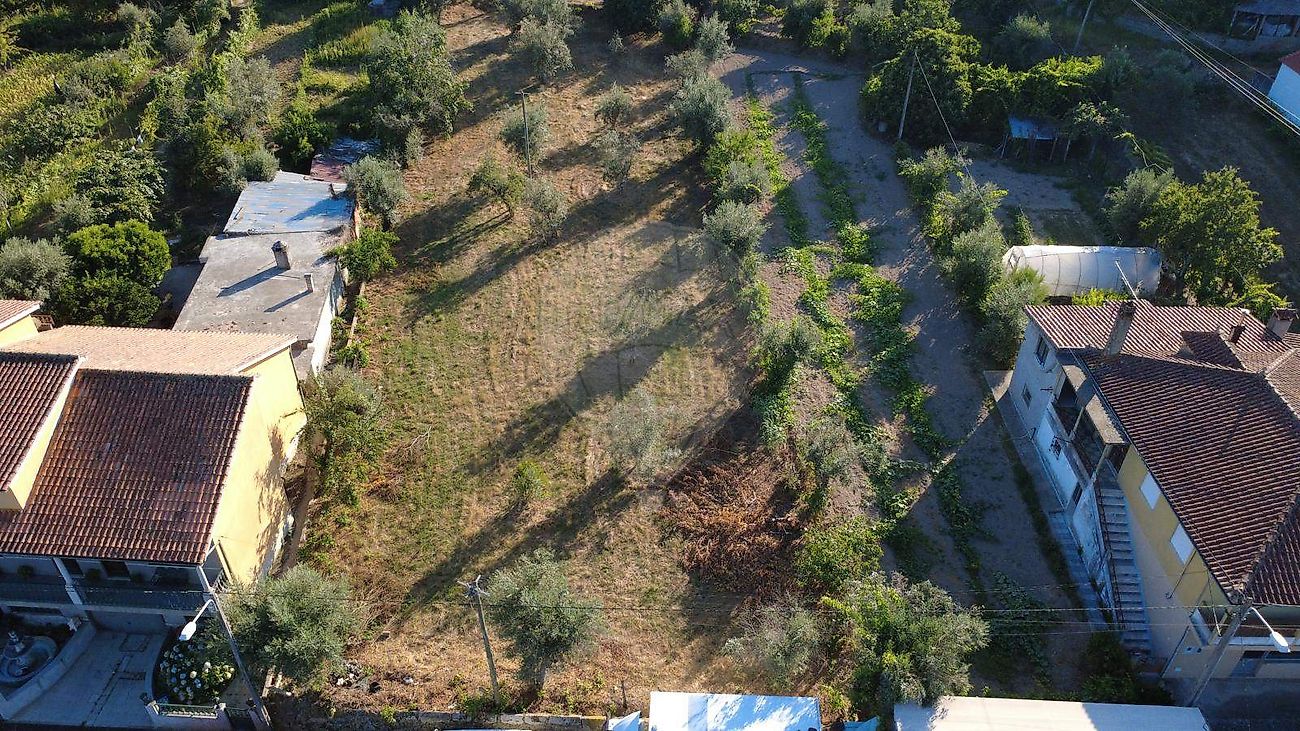 Terreno - Midões, Tábua, Coimbra
