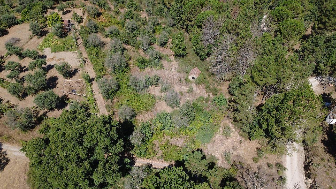 Terreno - Midões, Tábua, Coimbra
