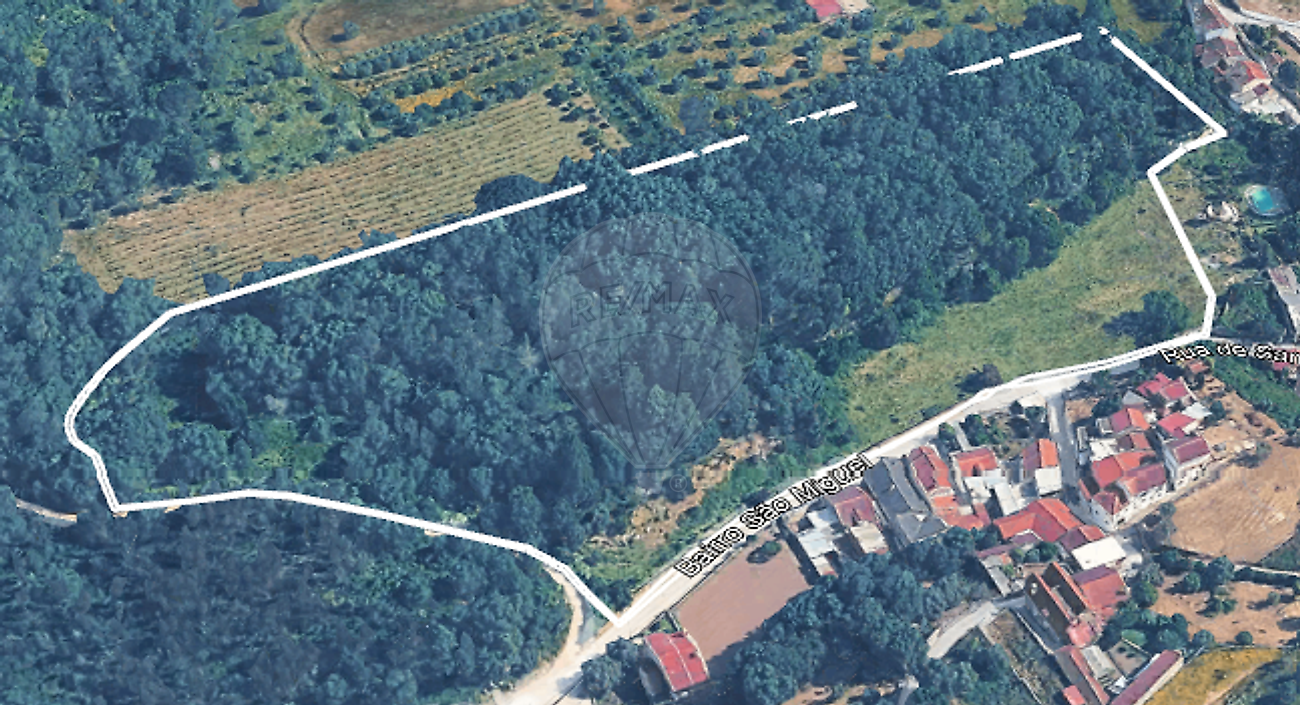 Terreno - Ançã, Cantanhede, Coimbra