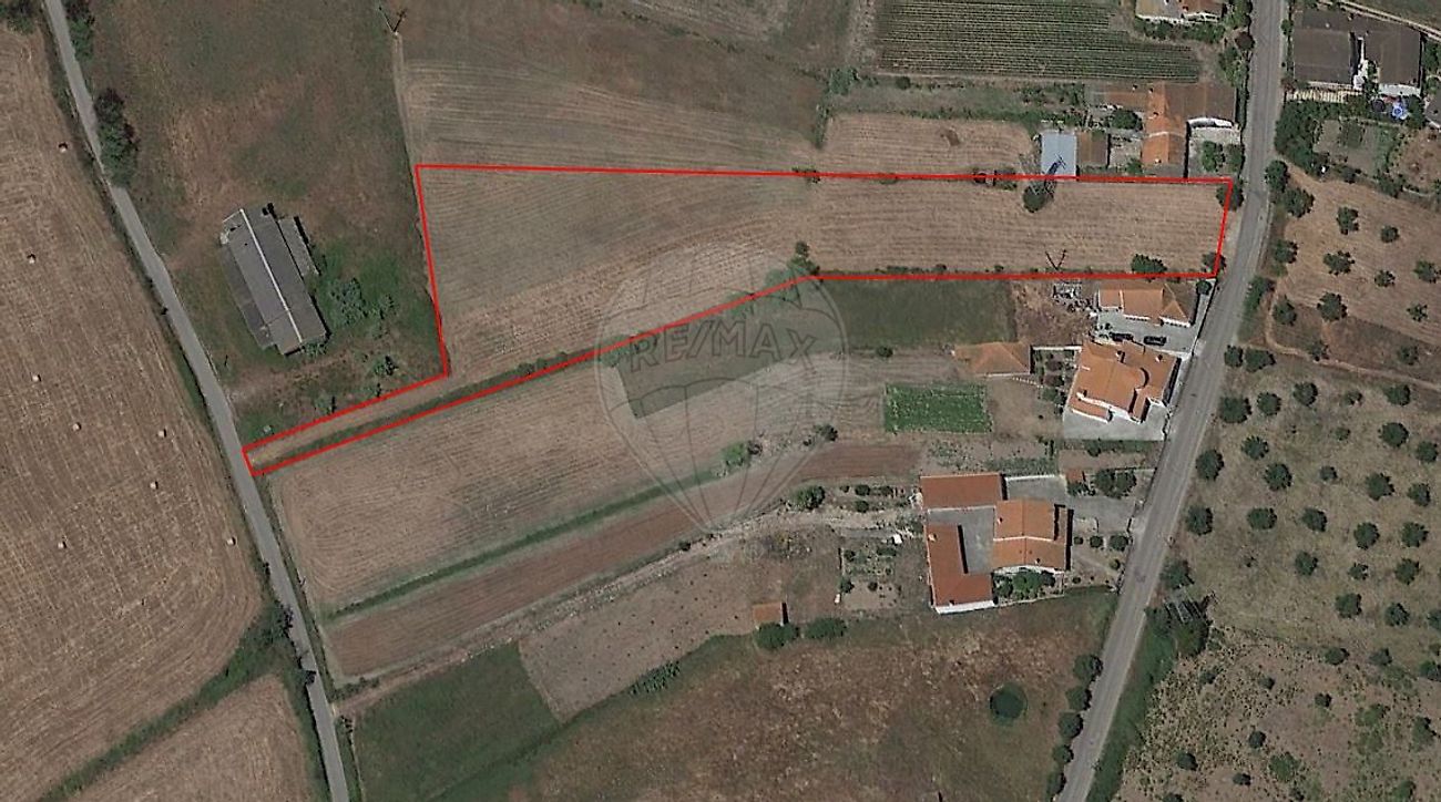 Terreno - Santo Varão, Montemor-o-Velho, Coimbra