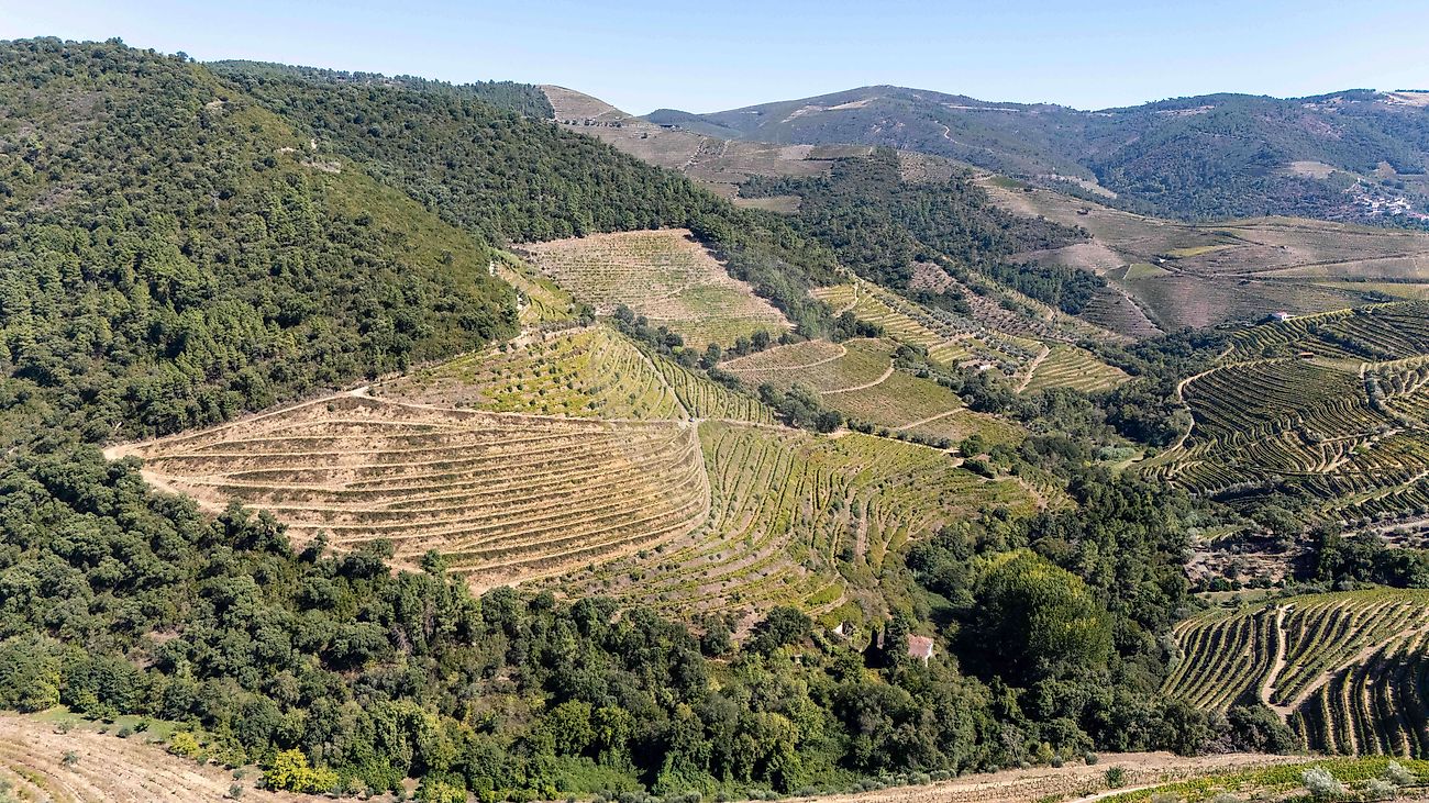 Quinta - São Martinho de Antas e Paradela de Guiães, Sabrosa, Vila Real