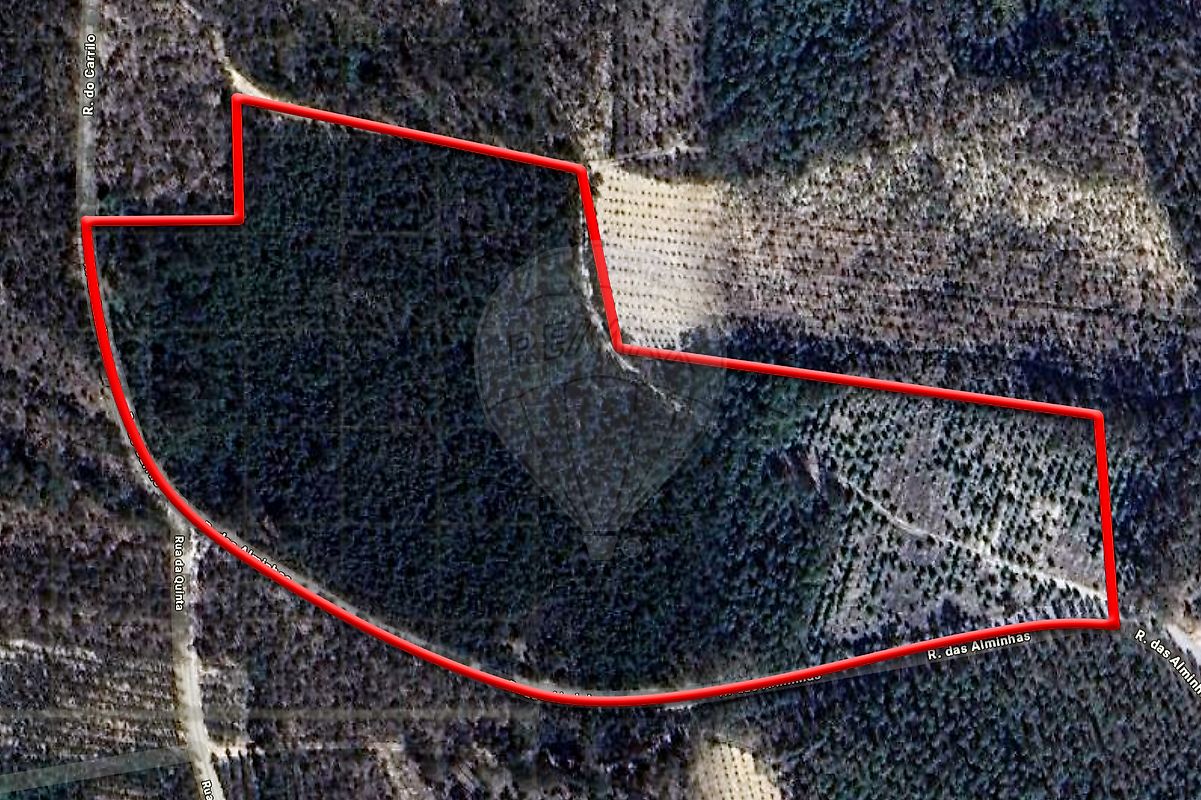 Terreno - Guia, Ilha e Mata Mourisca, Pombal, Leiria