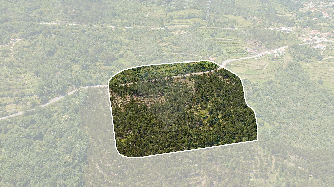 Terreno à venda em Cinfães